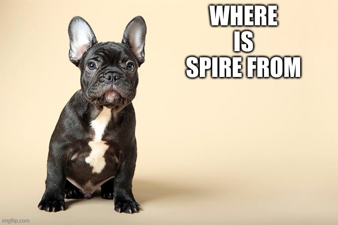 KSDawg | WHERE IS SPIRE FROM | image tagged in ksdawg | made w/ Imgflip meme maker
