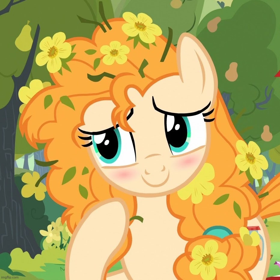 image tagged in pear butter,my little pony friendship is magic,cute | made w/ Imgflip meme maker