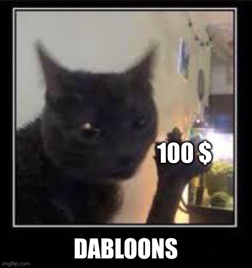 Dabloons Cat | 100 $ DABLOONS | image tagged in dabloons cat | made w/ Imgflip meme maker