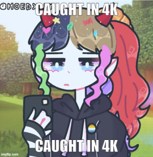 Caught in 4k | image tagged in caught in 4k | made w/ Imgflip meme maker