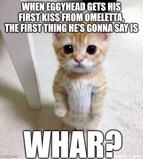 That word exactly | WHEN EGGYHEAD GETS HIS FIRST KISS FROM OMELETTA, THE FIRST THING HE'S GONNA SAY IS; WHAR? | image tagged in memes,cute cat | made w/ Imgflip meme maker