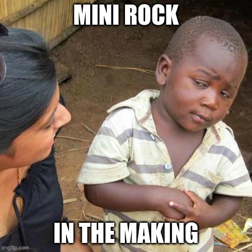 Mini rock | MINI ROCK; IN THE MAKING | image tagged in memes,third world skeptical kid | made w/ Imgflip meme maker