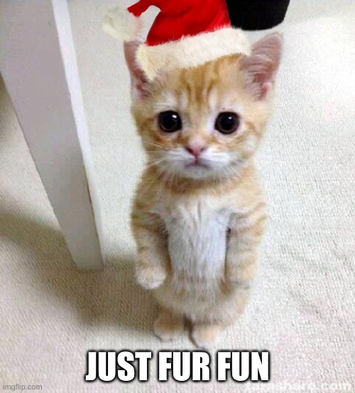 Cute Cat | JUST FUR FUN | image tagged in memes,cute cat | made w/ Imgflip meme maker