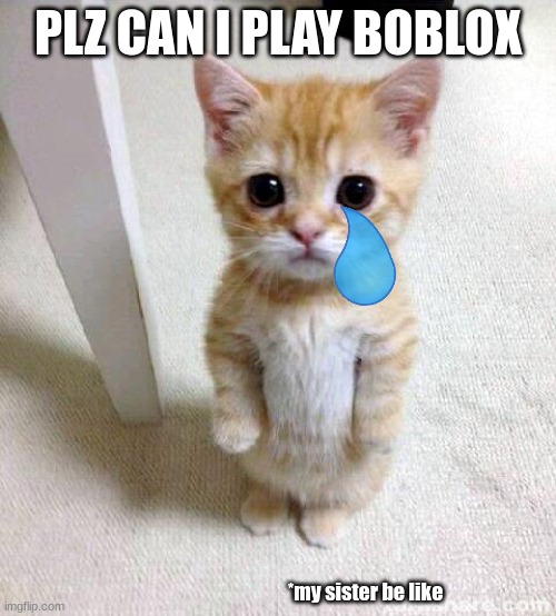 my sister in a nutsell *she gets everything she wants and it is not fair | PLZ CAN I PLAY BOBLOX; *my sister be like | image tagged in memes,cute cat | made w/ Imgflip meme maker