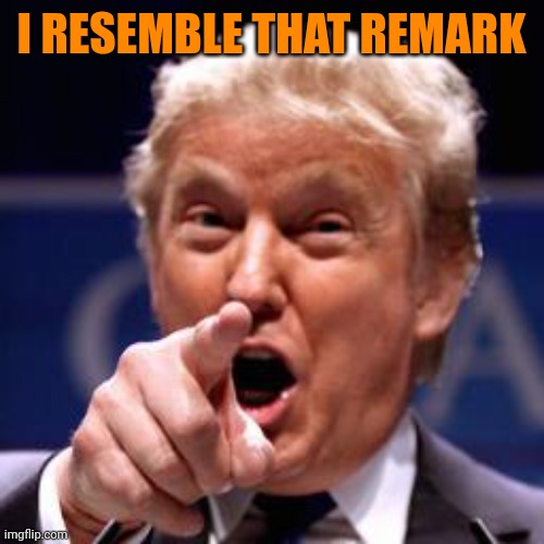 Trump pointing  | I RESEMBLE THAT REMARK | image tagged in trump pointing | made w/ Imgflip meme maker