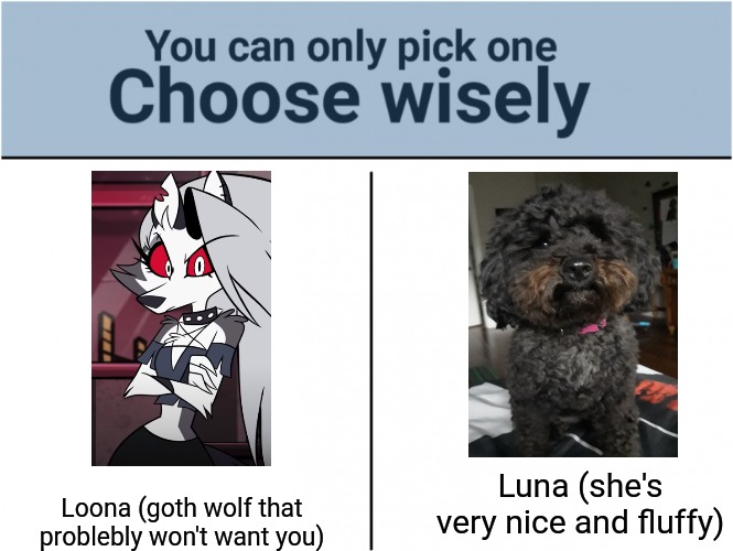 My meme (ft. My doggo) | Loona (goth wolf that problebly won't want you); Luna (she's very nice and fluffy) | image tagged in you can pick only one choose wisely | made w/ Imgflip meme maker