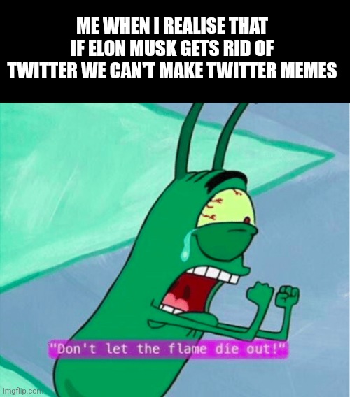 DONT LET THE FIME DIE OUT | ME WHEN I REALISE THAT IF ELON MUSK GETS RID OF TWITTER WE CAN'T MAKE TWITTER MEMES | image tagged in dont let the flame die out | made w/ Imgflip meme maker