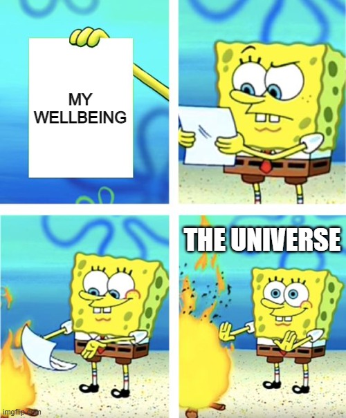 Why universe | MY WELLBEING; THE UNIVERSE | image tagged in spongebob burning paper | made w/ Imgflip meme maker