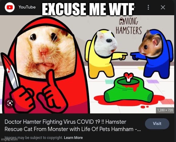 why | EXCUSE ME WTF | image tagged in why | made w/ Imgflip meme maker