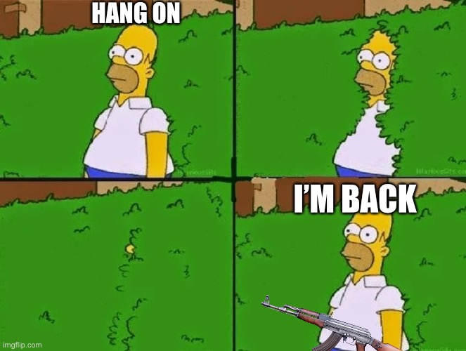 HOMER BUSH | HANG ON I’M BACK | image tagged in homer bush | made w/ Imgflip meme maker