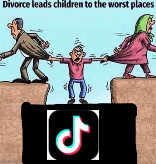 I think we can all agree Tik Tok sucks ball*S | image tagged in divorce leads children to the worst places | made w/ Imgflip meme maker