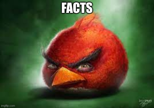 Realistic Red Angry Birds | FACTS | image tagged in realistic red angry birds | made w/ Imgflip meme maker