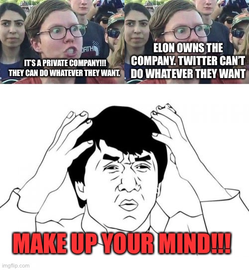 Tweet | ELON OWNS THE COMPANY. TWITTER CAN’T DO WHATEVER THEY WANT; IT’S A PRIVATE COMPANY!!! THEY CAN DO WHATEVER THEY WANT. MAKE UP YOUR MIND!!! | image tagged in triggered liberal,memes,jackie chan wtf,twitter | made w/ Imgflip meme maker