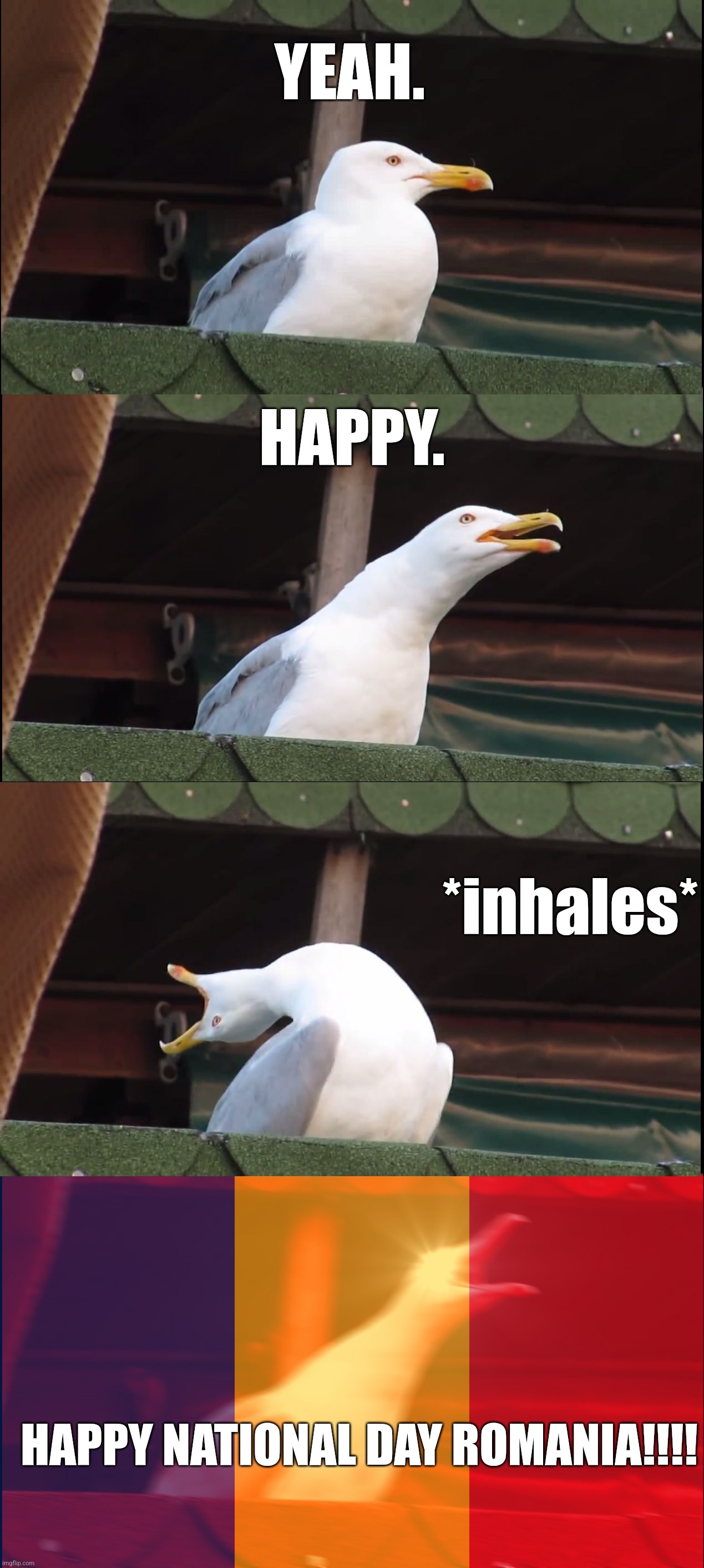 Happy 1st December, Romania | YEAH. HAPPY. *inhales*; HAPPY NATIONAL DAY ROMANIA!!!! | image tagged in memes,inhaling seagull,romania,1st december | made w/ Imgflip meme maker