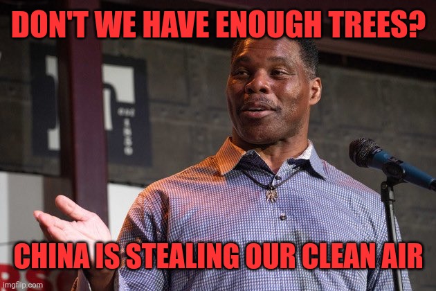 Herschel Walker | DON'T WE HAVE ENOUGH TREES? CHINA IS STEALING OUR CLEAN AIR | image tagged in herschel walker | made w/ Imgflip meme maker