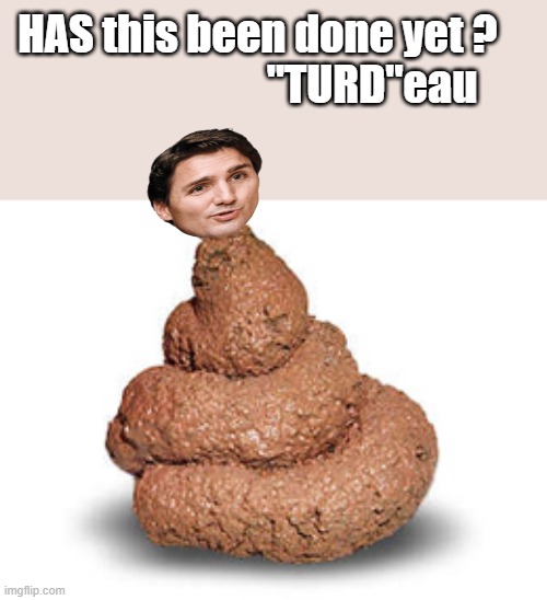 OH MY!!!!!! | HAS this been done yet ?                            "TURD"eau | image tagged in nwo | made w/ Imgflip meme maker