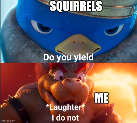 Do you yield? | SQUIRRELS; ME | image tagged in do you yield | made w/ Imgflip meme maker