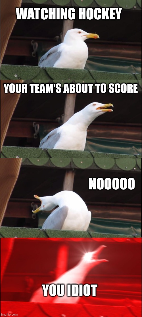 Inhaling Seagull | WATCHING HOCKEY; YOUR TEAM'S ABOUT TO SCORE; NOOOOO; YOU IDIOT | image tagged in memes,inhaling seagull | made w/ Imgflip meme maker