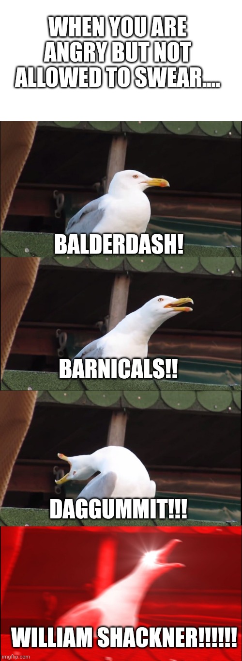 WHEN YOU ARE ANGRY BUT NOT ALLOWED TO SWEAR.... BALDERDASH! BARNICALS!! DAGGUMMIT!!! WILLIAM SHACKNER!!!!!! | image tagged in memes,inhaling seagull | made w/ Imgflip meme maker