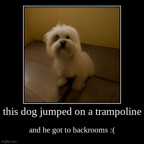 sad | image tagged in funny,demotivationals | made w/ Imgflip demotivational maker