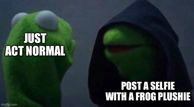 kermit me to me | JUST ACT NORMAL; POST A SELFIE WITH A FROG PLUSHIE | image tagged in kermit me to me | made w/ Imgflip meme maker