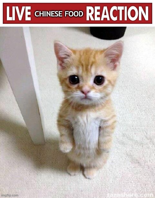 should i make this a temp | CHINESE FOOD | image tagged in live x reaction,memes,cute cat | made w/ Imgflip meme maker
