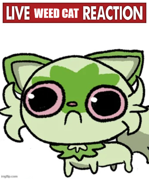 WEED CAT | image tagged in live x reaction,weed cat | made w/ Imgflip meme maker