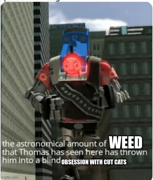 the astronomical amount of bullcrap that Thomas has seen (clean) | WEED OBSESSION WITH CUT CATS | image tagged in the astronomical amount of bullcrap that thomas has seen clean | made w/ Imgflip meme maker