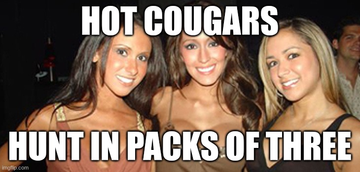 sexy cougars | HOT COUGARS; HUNT IN PACKS OF THREE | image tagged in sexy cougars | made w/ Imgflip meme maker