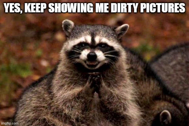 Evil Plotting Raccoon Meme |  YES, KEEP SHOWING ME DIRTY PICTURES | image tagged in memes,evil plotting raccoon | made w/ Imgflip meme maker
