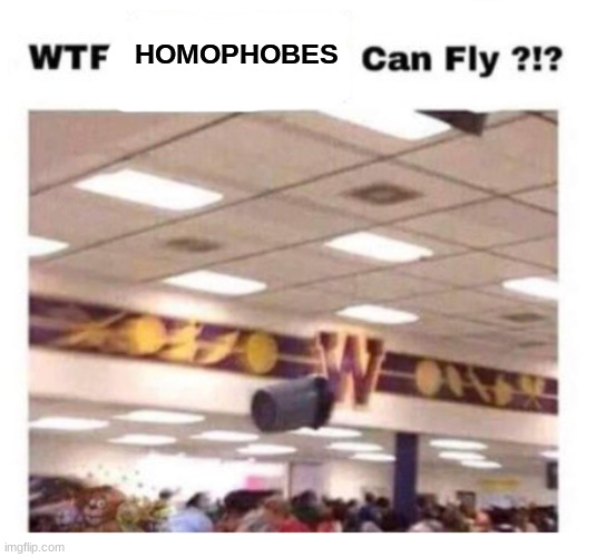 Uh-oh | HOMOPHOBES | image tagged in wtf --------- can fly | made w/ Imgflip meme maker