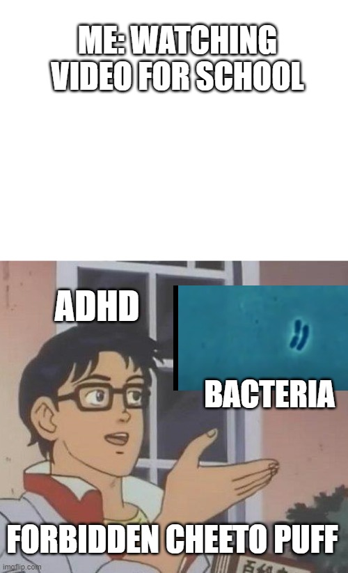 JUST HAPPENED | ME: WATCHING VIDEO FOR SCHOOL; ADHD; BACTERIA; FORBIDDEN CHEETO PUFF | image tagged in blank white template,memes,is this a pigeon | made w/ Imgflip meme maker