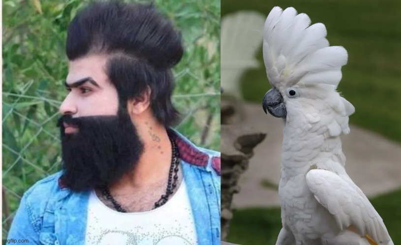 am i the only one who see it...? | made w/ Imgflip meme maker