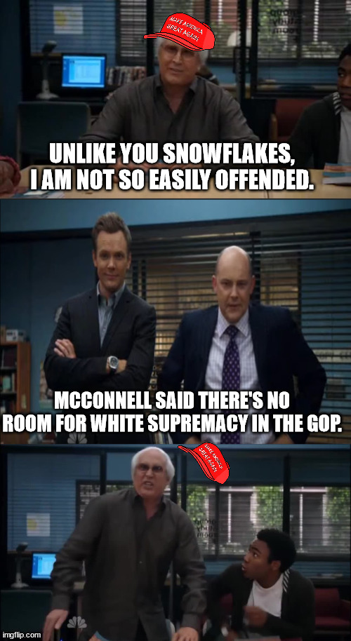 MAGA Snowflake | UNLIKE YOU SNOWFLAKES, I AM NOT SO EASILY OFFENDED. MCCONNELL SAID THERE'S NO ROOM FOR WHITE SUPREMACY IN THE GOP. | image tagged in maga snowflake | made w/ Imgflip meme maker