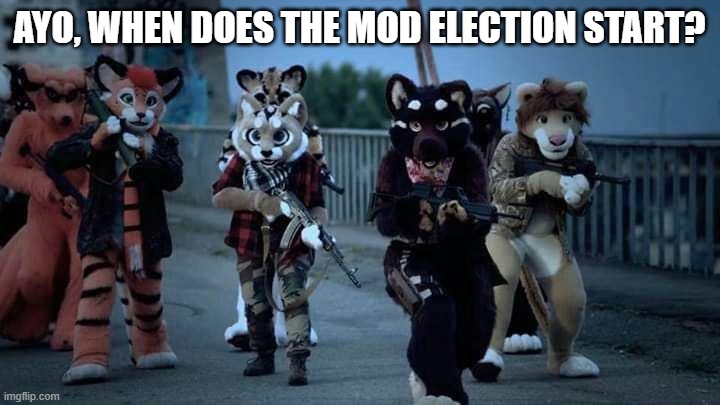 im curious | AYO, WHEN DOES THE MOD ELECTION START? | image tagged in furry army | made w/ Imgflip meme maker