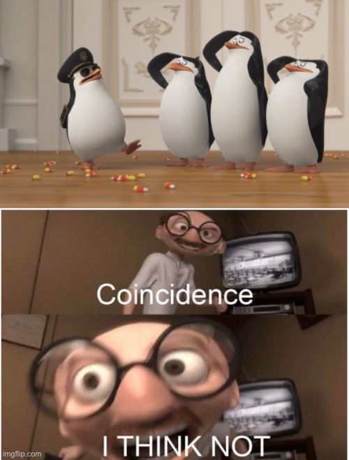 image tagged in penguins of madagascar,coincidence i think not | made w/ Imgflip meme maker