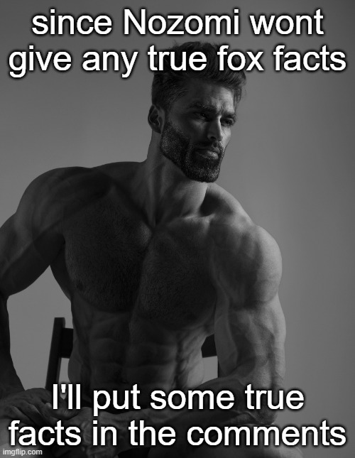 Giga Chad | since Nozomi wont give any true fox facts; I'll put some true facts in the comments | image tagged in giga chad | made w/ Imgflip meme maker