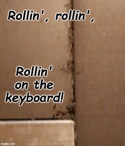 Rollin', Rollin'... | Rollin', rollin', Rollin' on the keyboard! | image tagged in song parody,satire,humor,classic rock,ccr | made w/ Imgflip meme maker