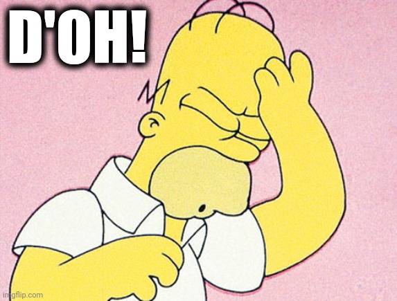Homer Simpson D'oh | D'OH! | image tagged in homer simpson d'oh | made w/ Imgflip meme maker