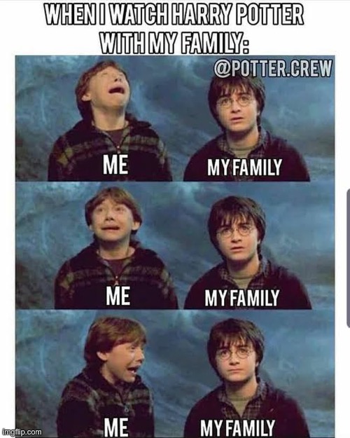 image tagged in harry potter,ron weasley,movies | made w/ Imgflip meme maker