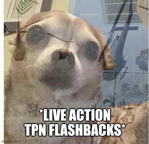 PTSD Chihuahua | *LIVE ACTION TPN FLASHBACKS* | image tagged in ptsd chihuahua | made w/ Imgflip meme maker