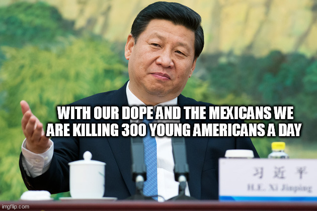 Xi Jinping | WITH OUR DOPE AND THE MEXICANS WE ARE KILLING 300 YOUNG AMERICANS A DAY | image tagged in xi jinping | made w/ Imgflip meme maker