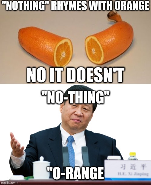 Nothing doesn't rhyme with orange (why did no one realize) | "NOTHING" RHYMES WITH ORANGE; NO IT DOESN'T; "NO-THING"; "O-RANGE | image tagged in bornana,xi jinping transparent,eminem,orange,vocabulary | made w/ Imgflip meme maker
