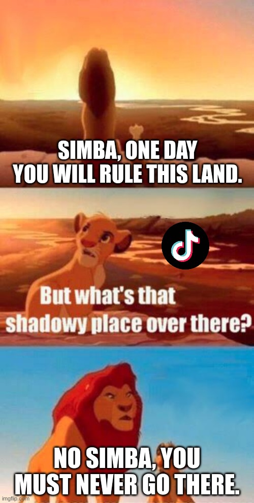 tiktok is really cringe | SIMBA, ONE DAY YOU WILL RULE THIS LAND. NO SIMBA, YOU MUST NEVER GO THERE. | image tagged in lion king light touches shadowy place kek | made w/ Imgflip meme maker