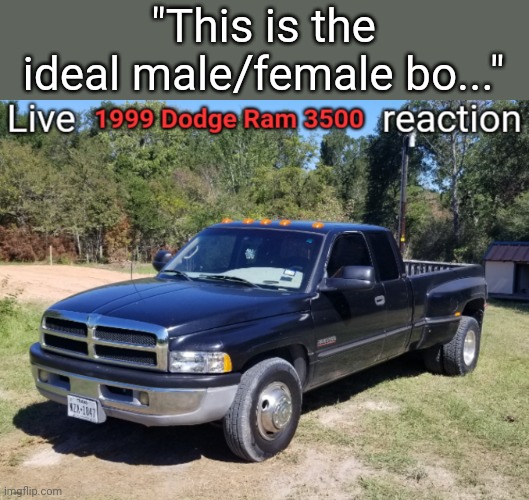 Made this for joke reason so no going ballistic in the comms | "This is the ideal male/female bo..." | image tagged in live 1999 dodge ram 3500 reaction | made w/ Imgflip meme maker