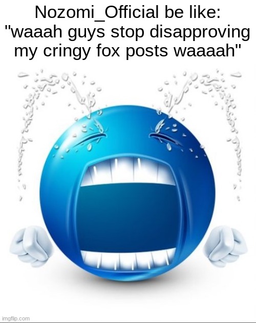 like nobody cares abt your foxes. I knew a girl in my class who was just like this | Nozomi_Official be like: "waaah guys stop disapproving my cringy fox posts waaaah" | image tagged in crying blue guy | made w/ Imgflip meme maker