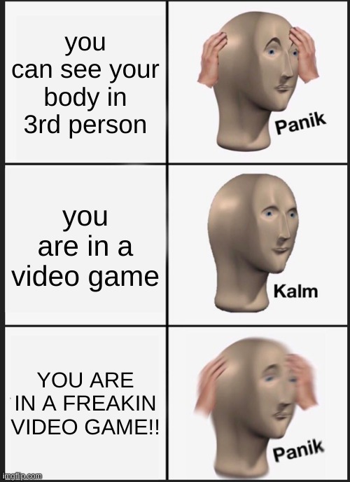 YES | you can see your body in 3rd person; you are in a video game; YOU ARE IN A FREAKIN VIDEO GAME!! | image tagged in memes,panik kalm panik | made w/ Imgflip meme maker