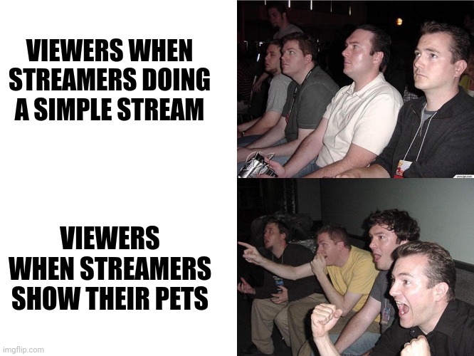 Streaming attention in a nutshell | VIEWERS WHEN STREAMERS DOING A SIMPLE STREAM; VIEWERS WHEN STREAMERS SHOW THEIR PETS | image tagged in reaction guys | made w/ Imgflip meme maker