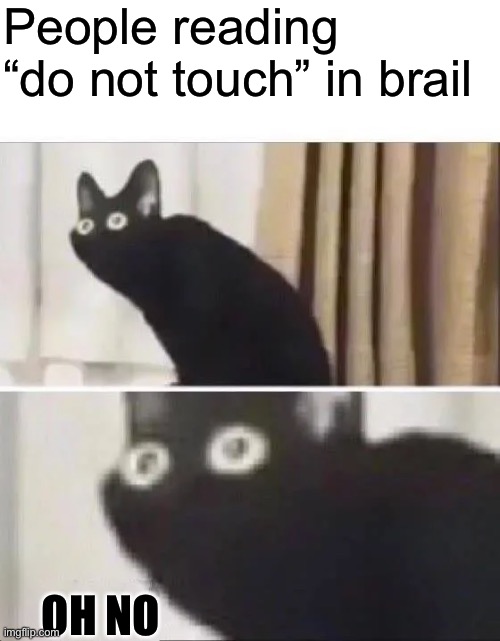 Oh No Black Cat | People reading “do not touch” in brail; OH NO | image tagged in oh no black cat | made w/ Imgflip meme maker