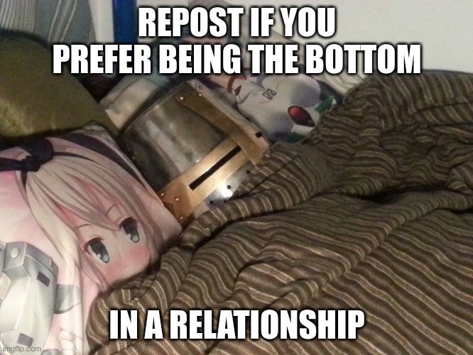 Weeb Crusader | REPOST IF YOU PREFER BEING THE BOTTOM; IN A RELATIONSHIP | image tagged in weeb crusader | made w/ Imgflip meme maker